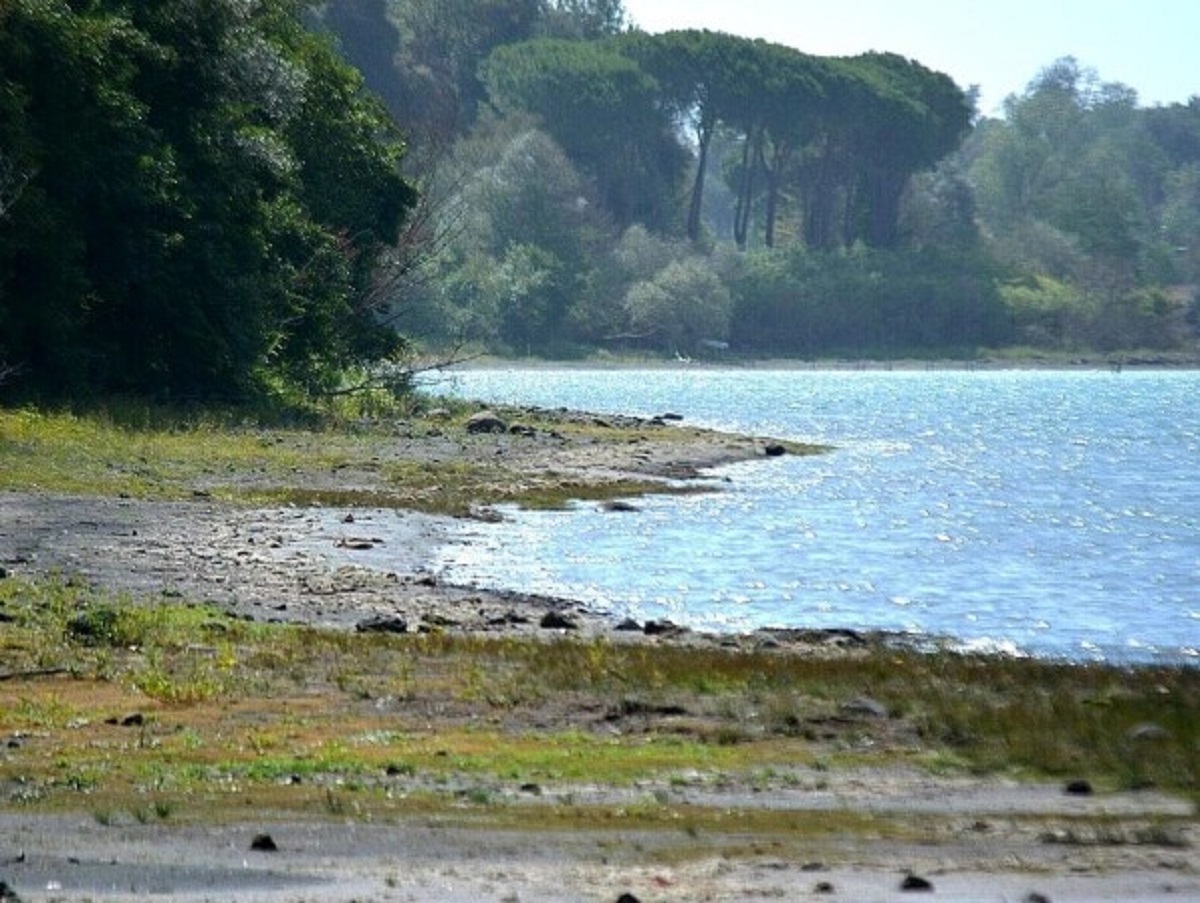 Lago di Bracciano trovato il corpo del 19enne scomparso 
