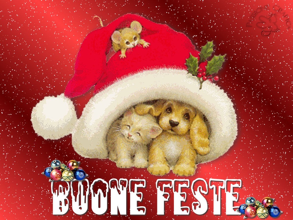 Sfondi Natalizi Con Animali.Auguri Di Natale Whatsapp Una Lista Infinita Di Frasi E Immagini Per Tutti