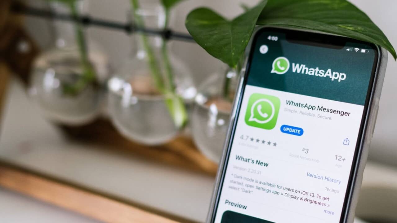 WhatsApp cambiamenti 15 maggio