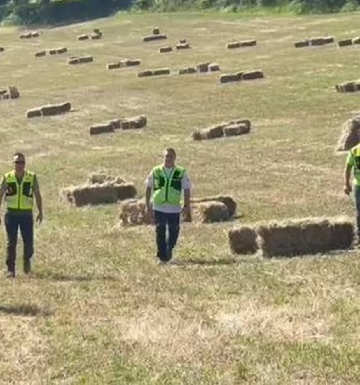 bambino scomparso foto e nome