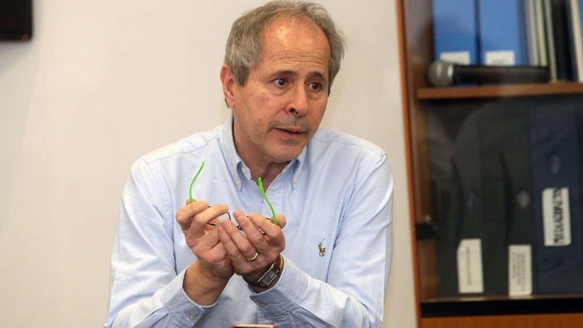 Andrea Crisanti Vaccino Coronavirus Immunità Gregge