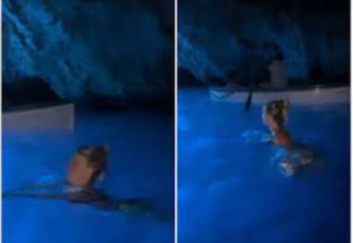Wanda Nara Bagno Grotta Azzurra Capri Vietato Multa 3 mila euro