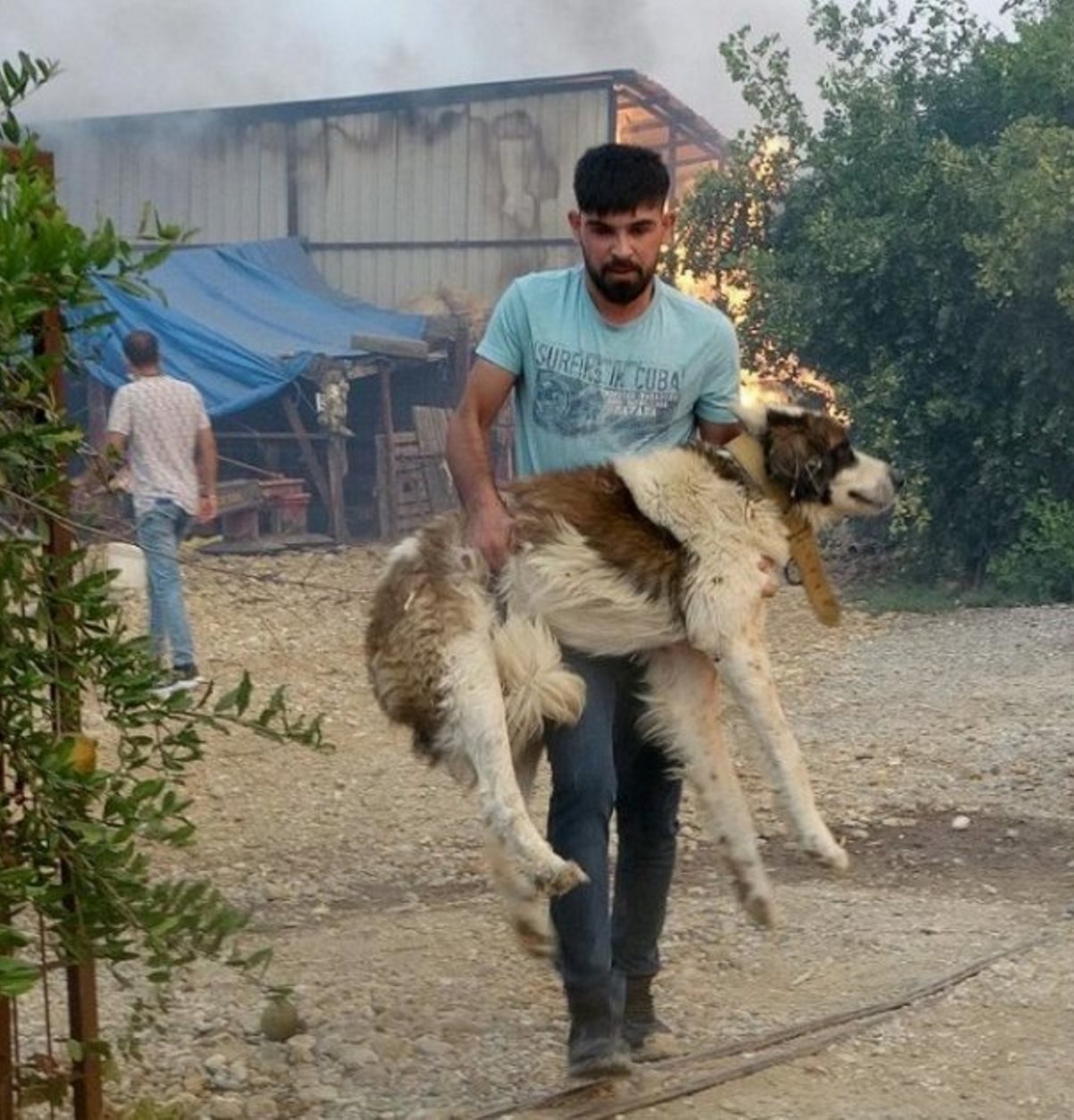 incendi turchia