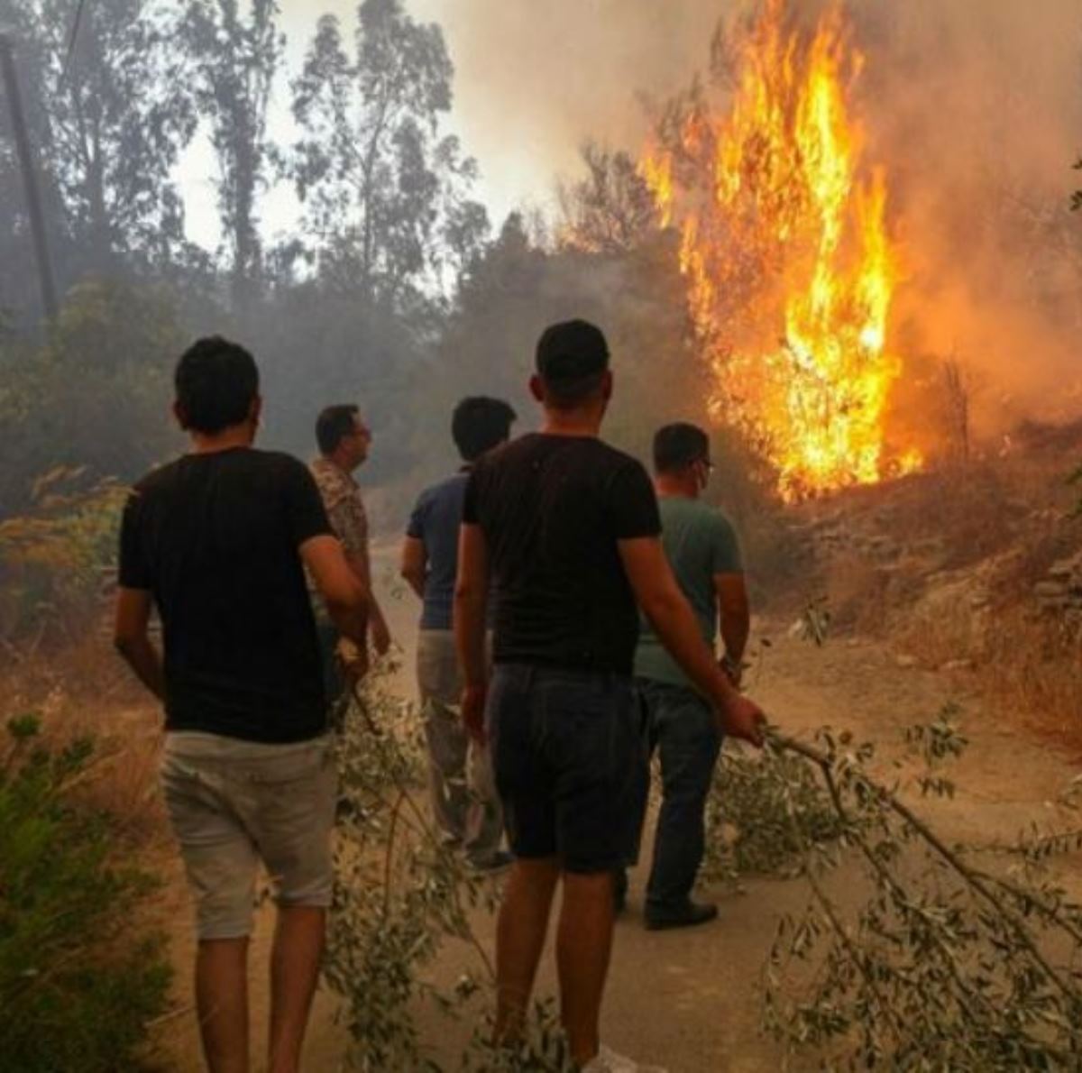 incendi turchia