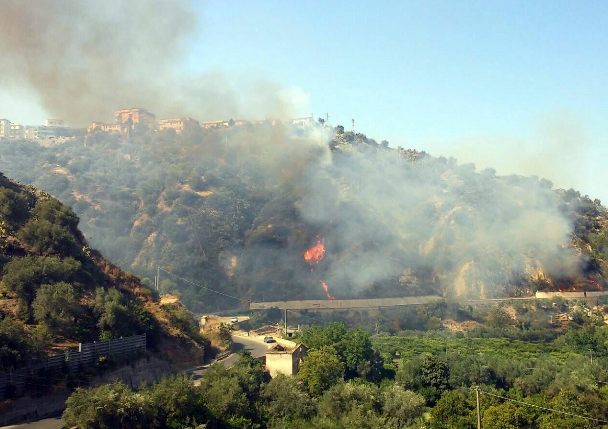 Calabria santuario Madonna di Polsi incendio pellegrini fuga