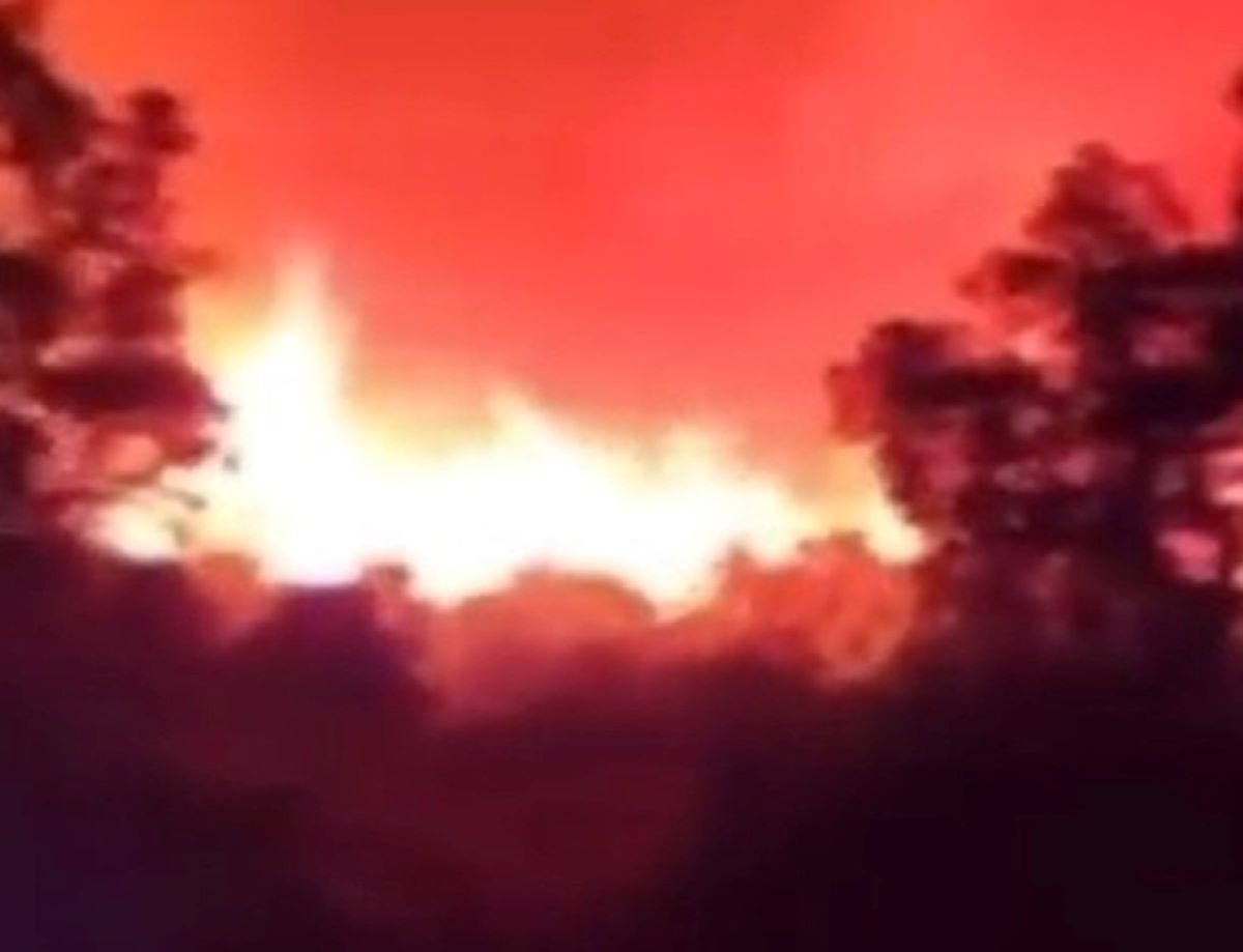 Incendio Saint-Tropez Francia Migliaia Evacuati Migliaia Ettari Foresta Distrutti