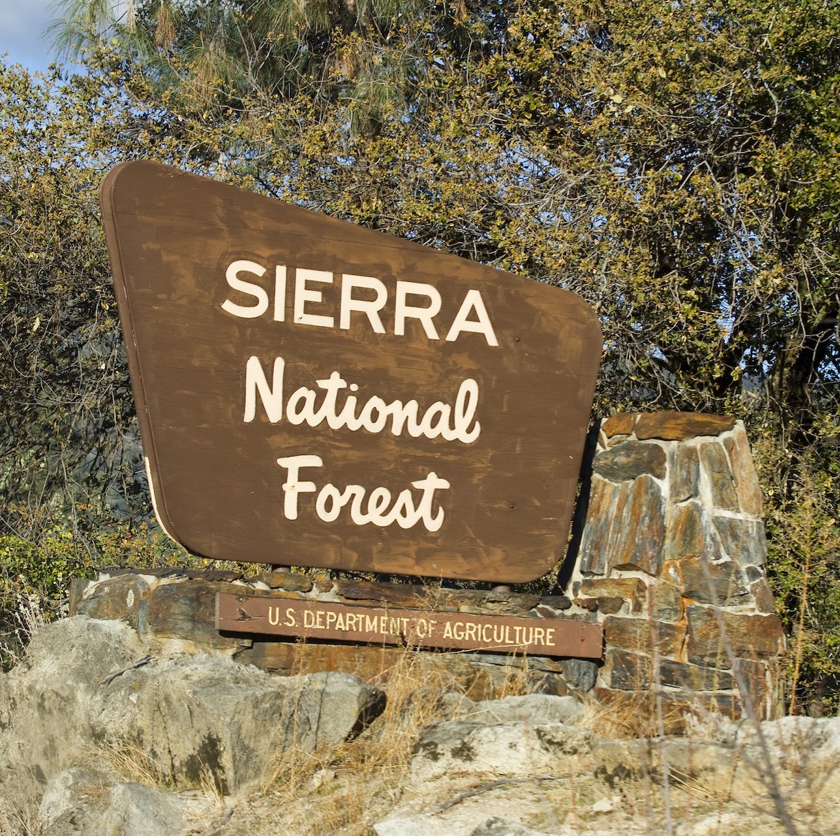 Sierra National Forest gerrish