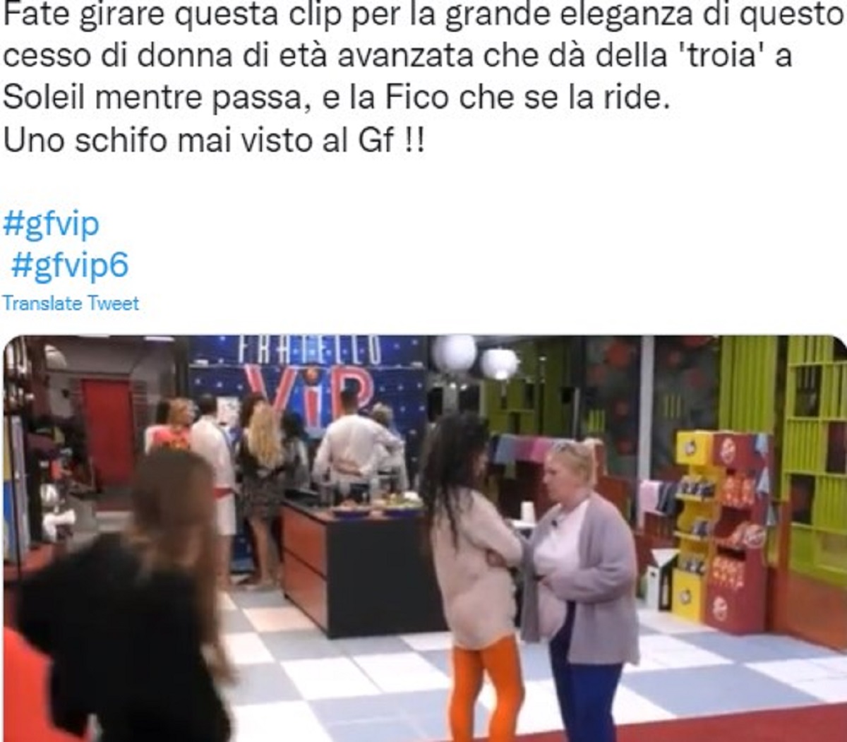 Katia Ricciarelli GF Vip 6 offesa Soleil Sorge equivoco