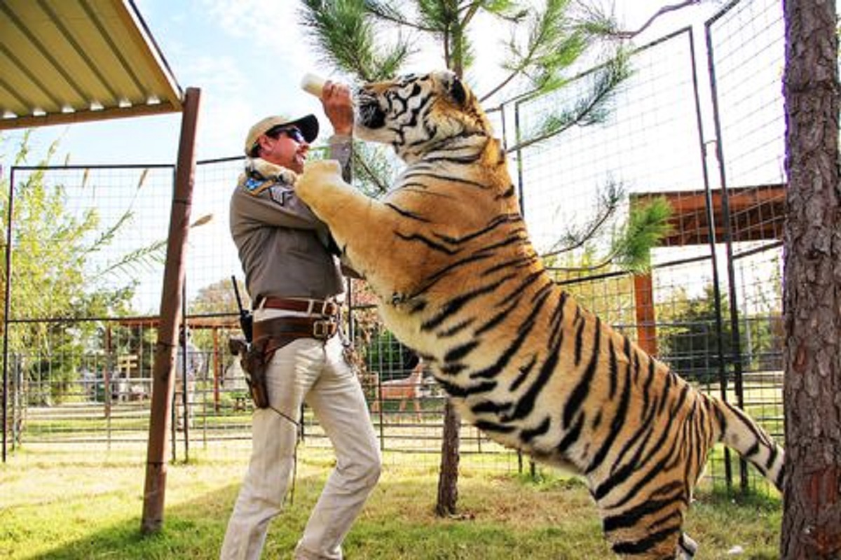 joe exotic 