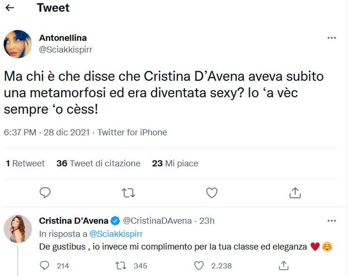 cristina d'avena risposta insulto