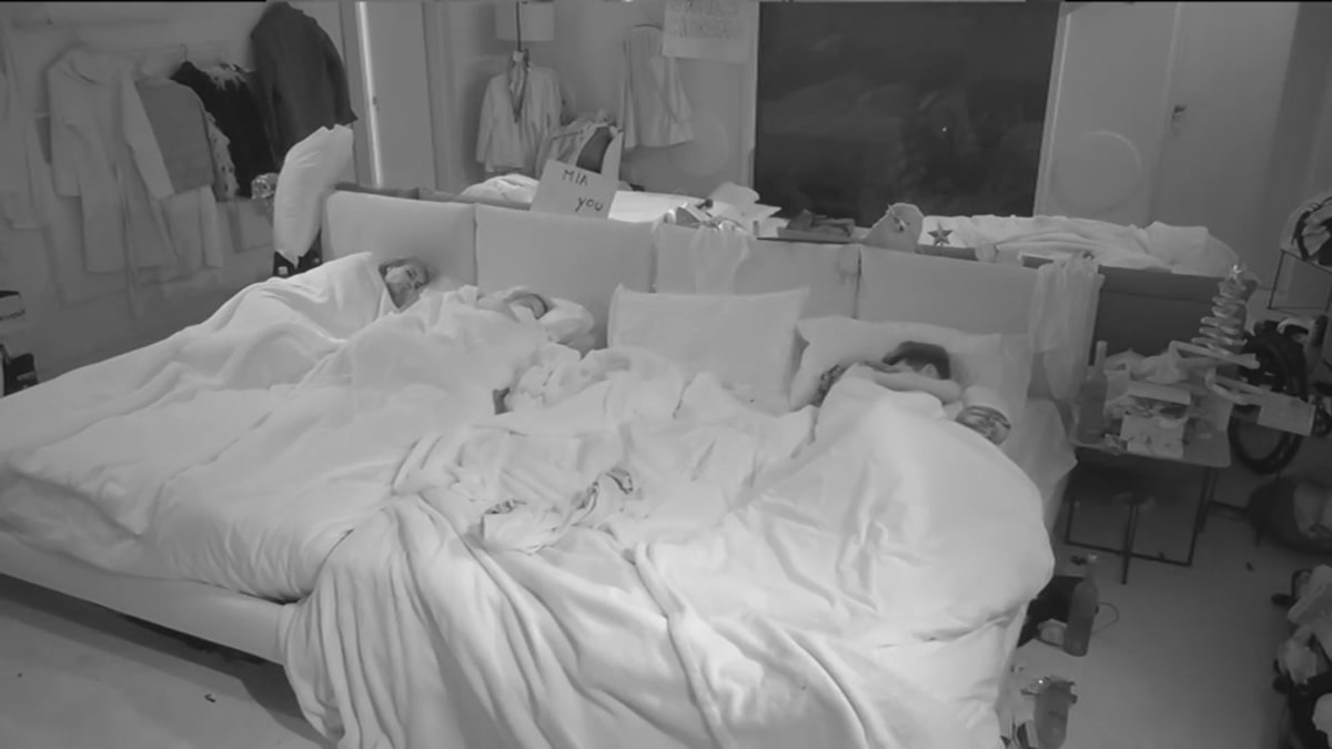 GF Vip Notte Passione Sophie Codegoni Alessandro Basciano