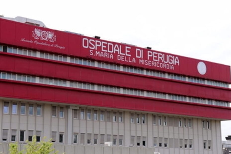 bimbo un anno fin di vita maltrattamenti