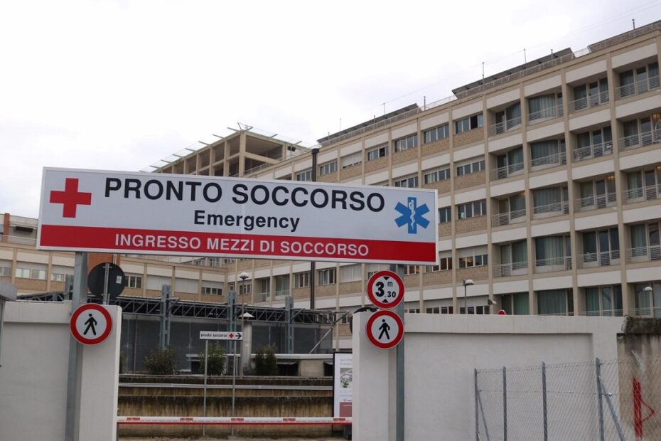 Emergenza zanzare a Bari