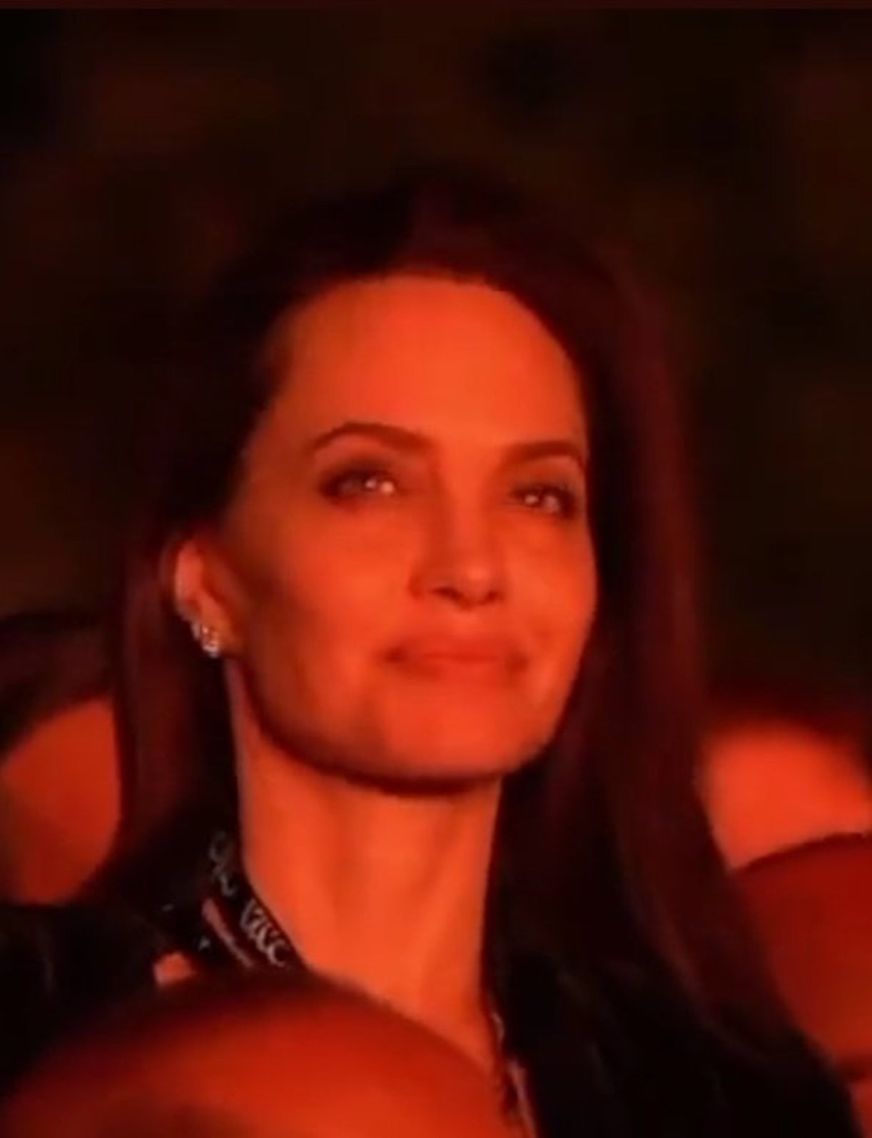 Angelina Jolie al concerto dei Maneskin