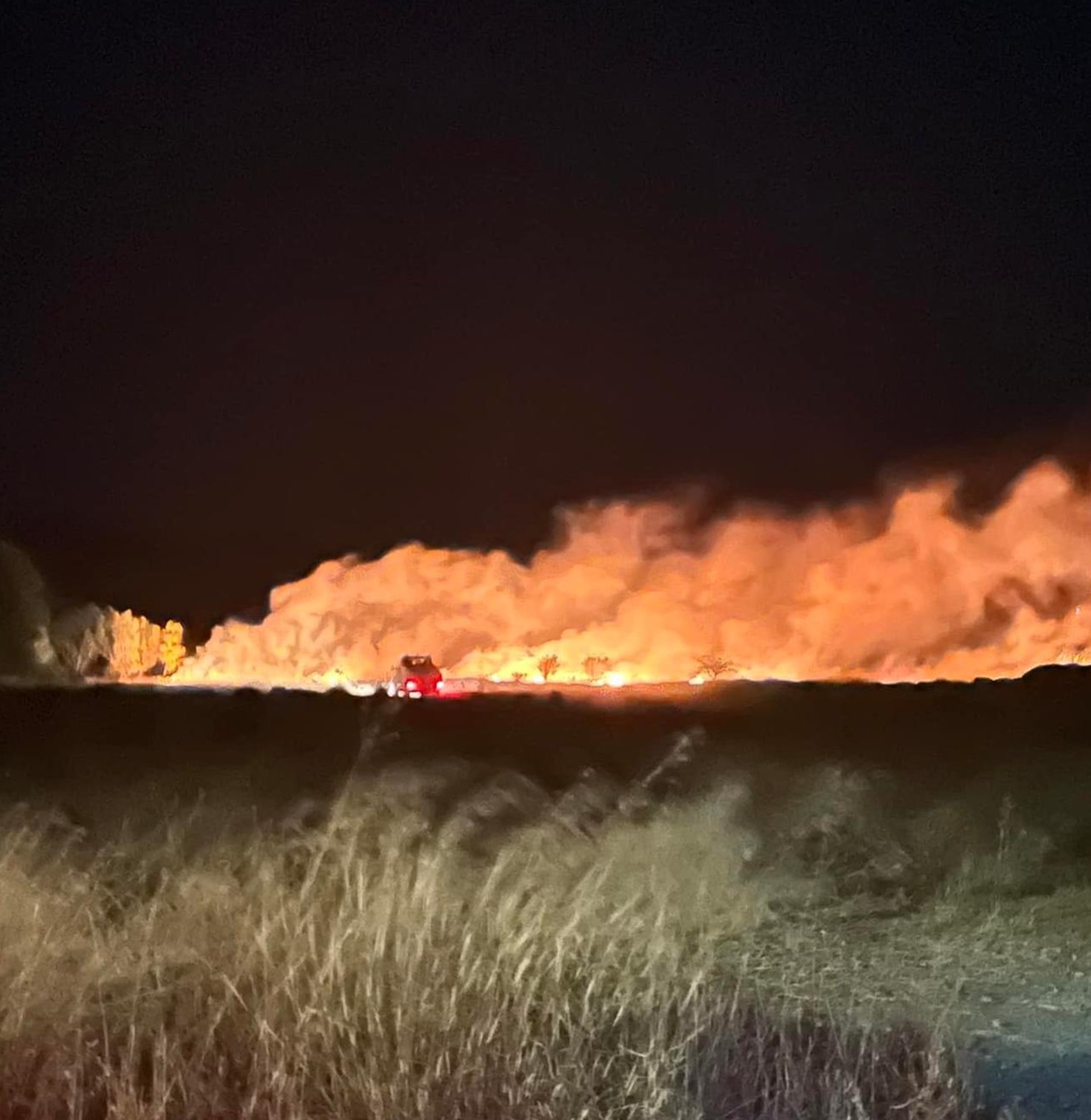 burcei incendio devastante pecore carbonizzate