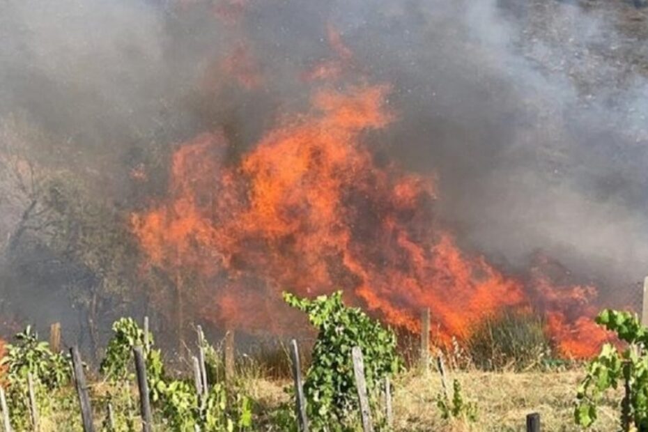 cosenza incendi interventi vigili del fuoco