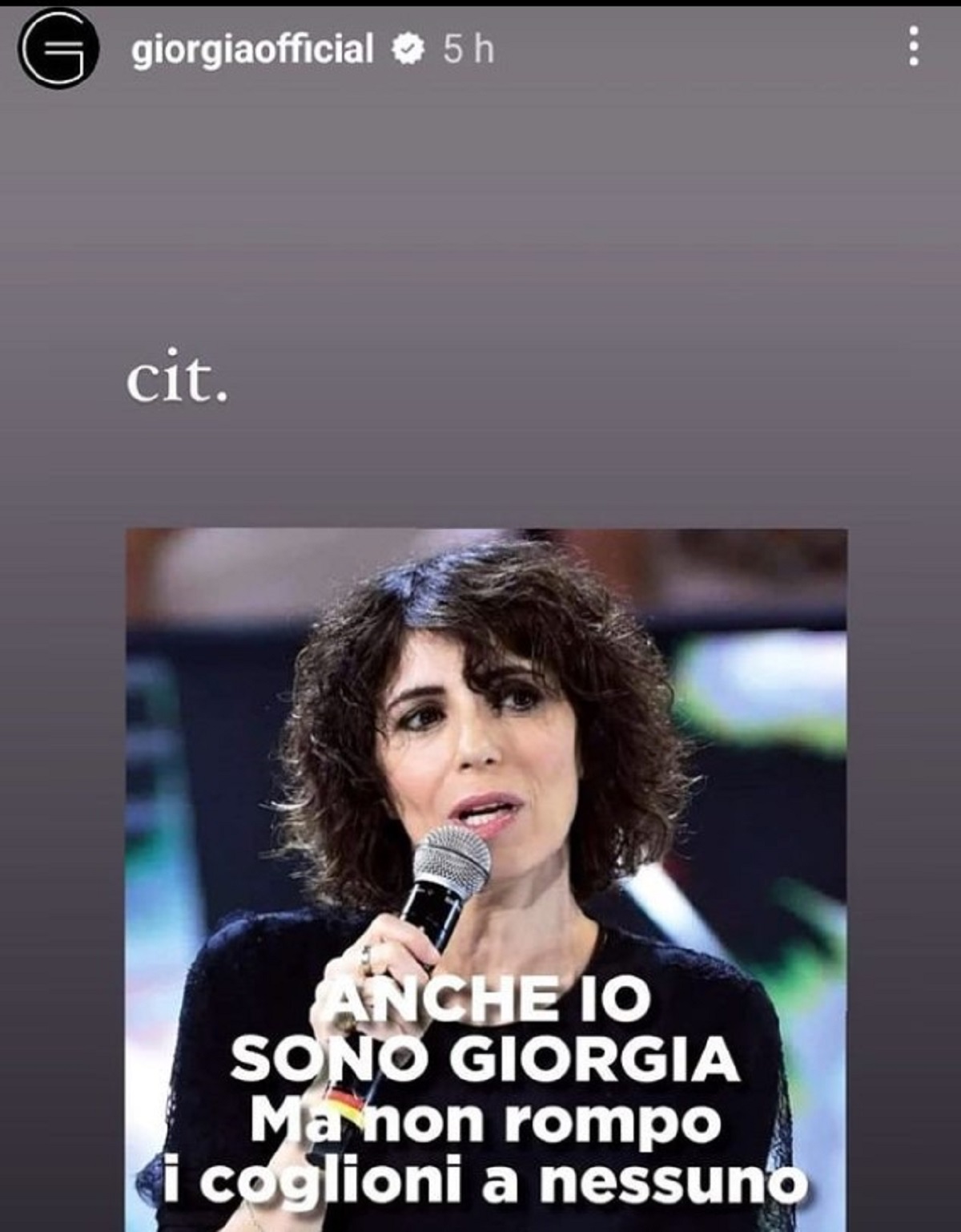 Giorgia Meloni lite cantante Giorgia 