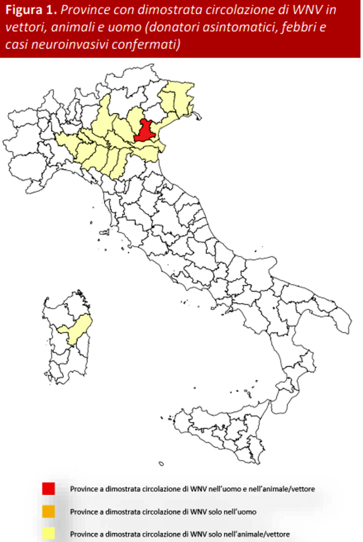 Primo caso di infezione da West Nile Virus in Italia