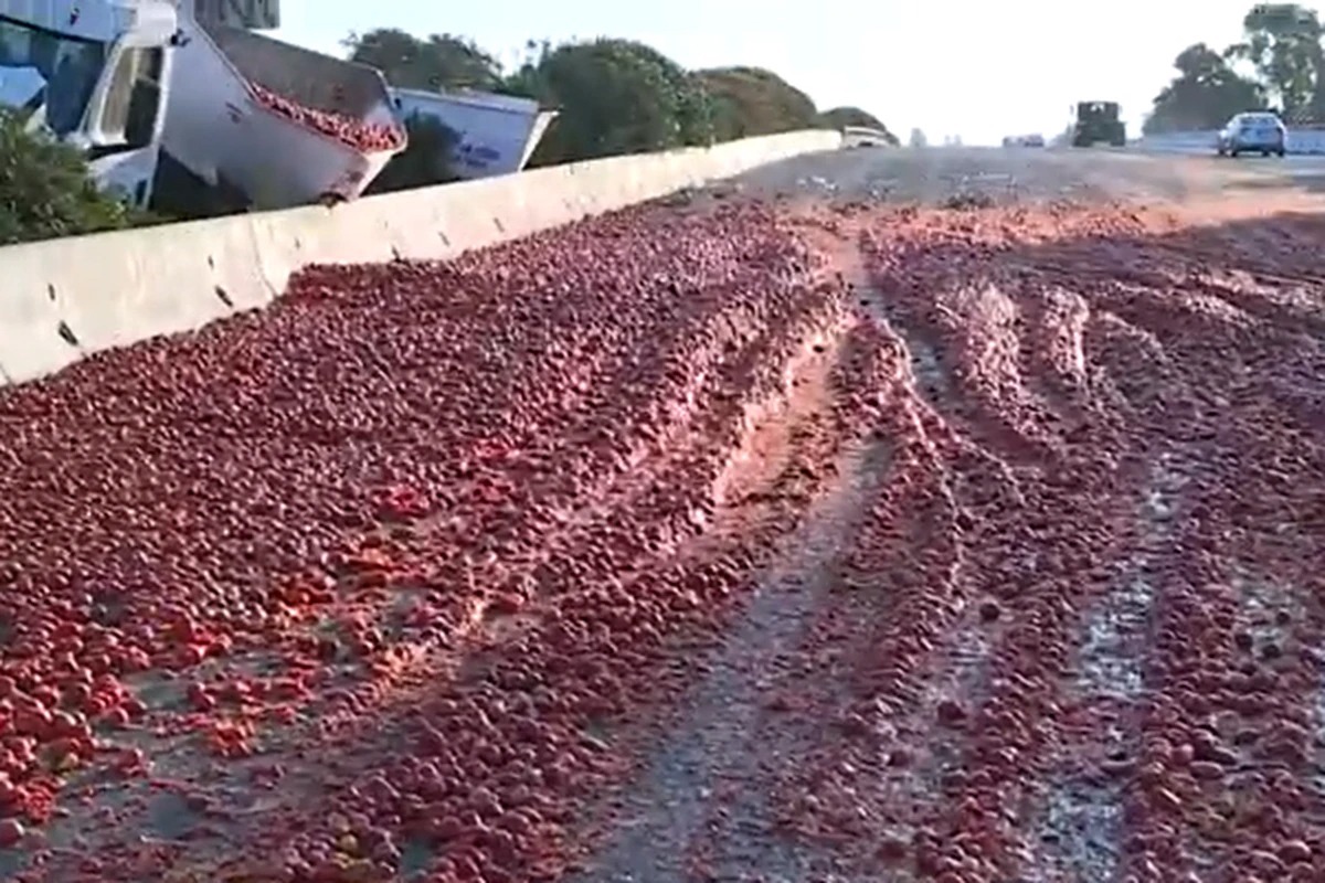 Pomodori sparpagliati su un'autostrada