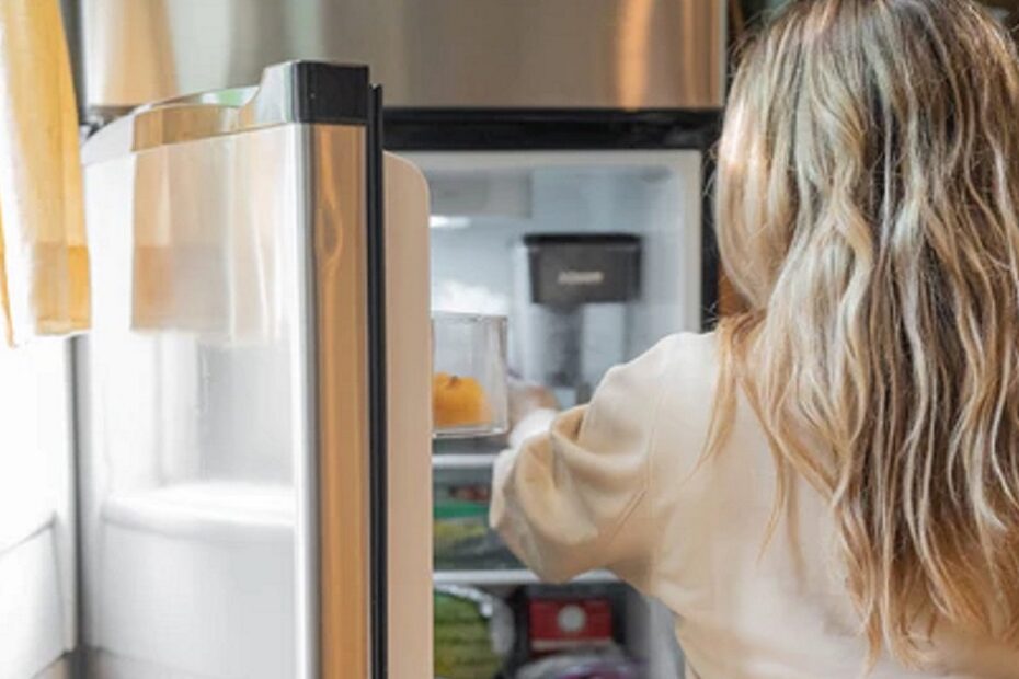Il tasto 'segreto' del frigorifero risparmiare bolletta della luce