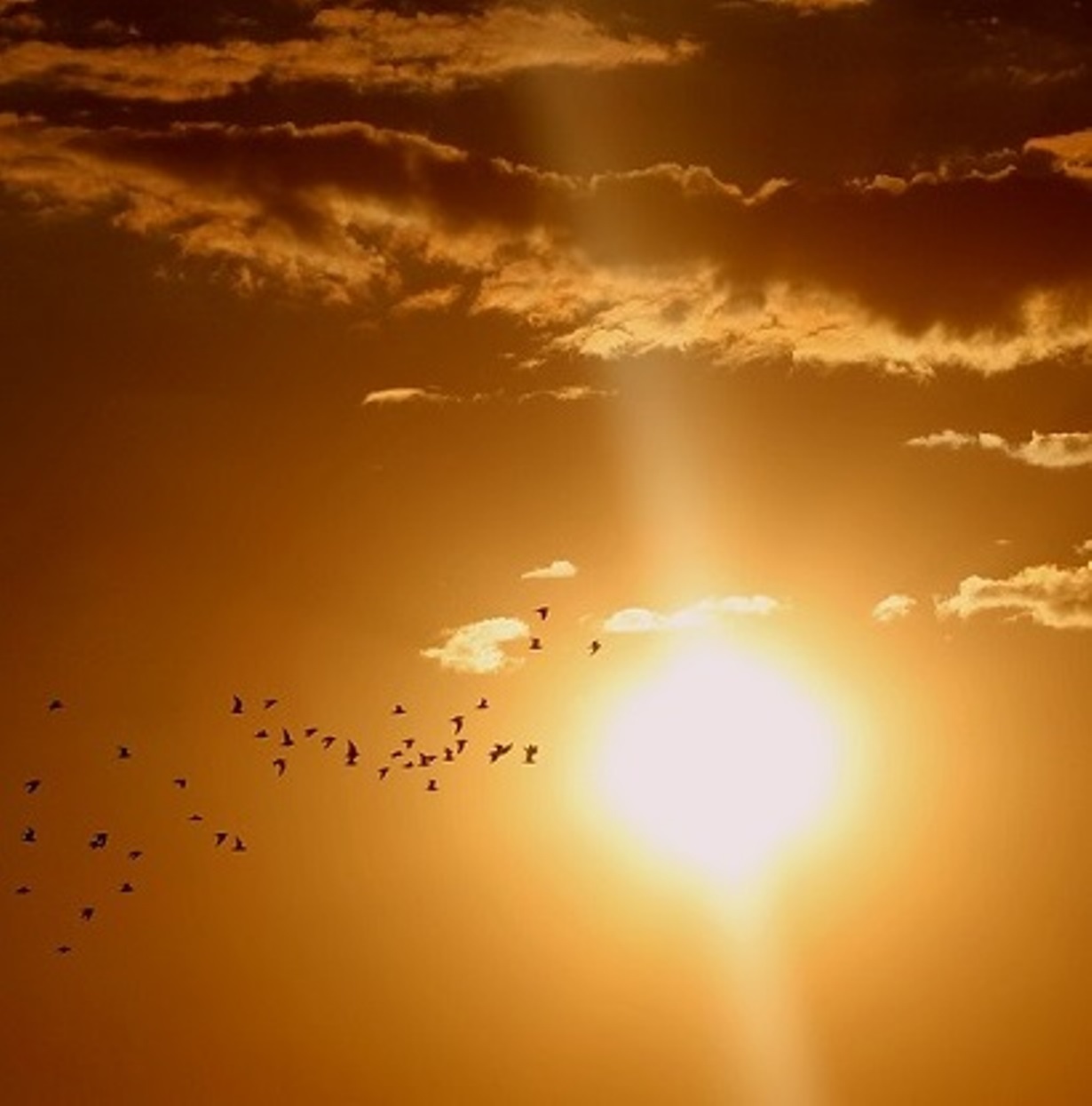 meteo italia torna caldo africano