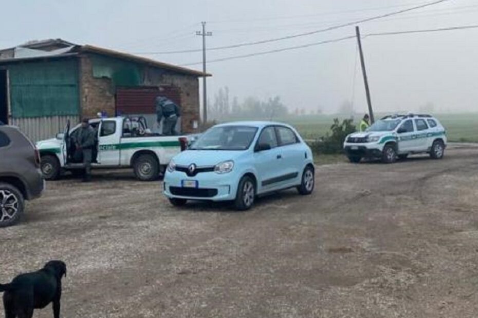 albertino esposti aggredito cinghiale