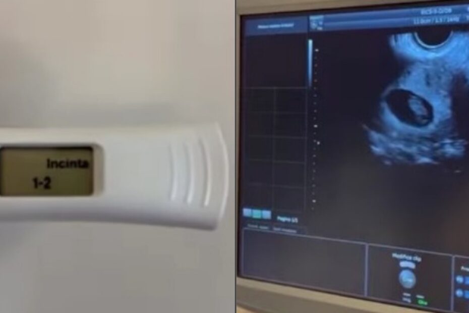 Coppia vip aspetta il primo figlio: Stefano Macchi ed Elisa D'Ospina