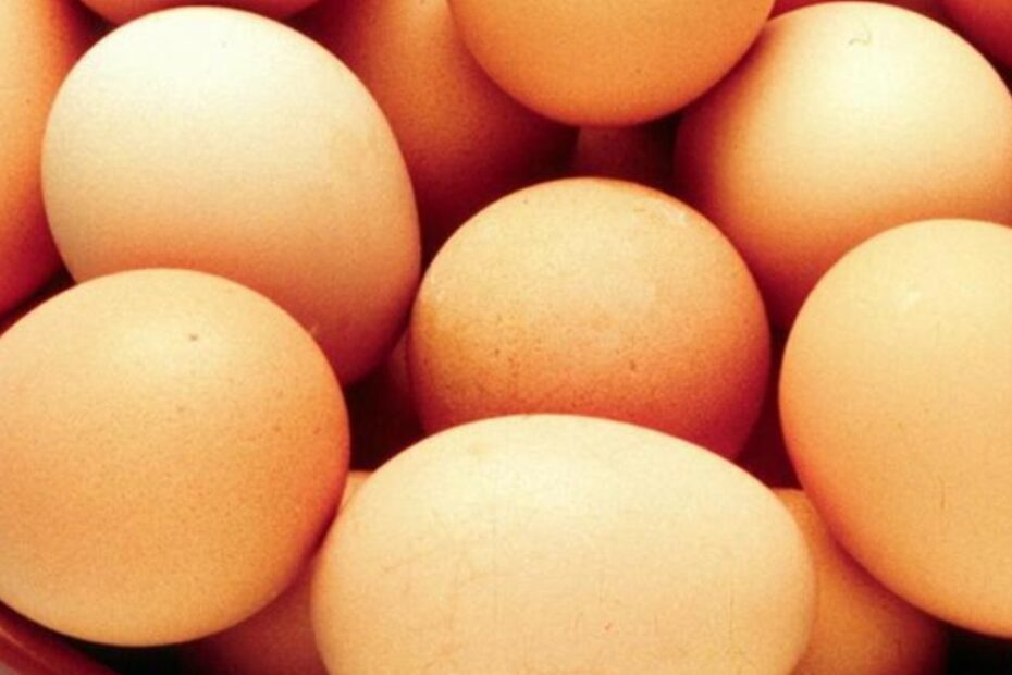 salmonella uova richiamo lotti