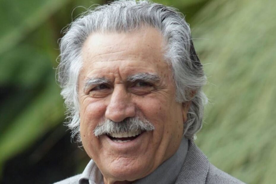 lando buzzanca eredità