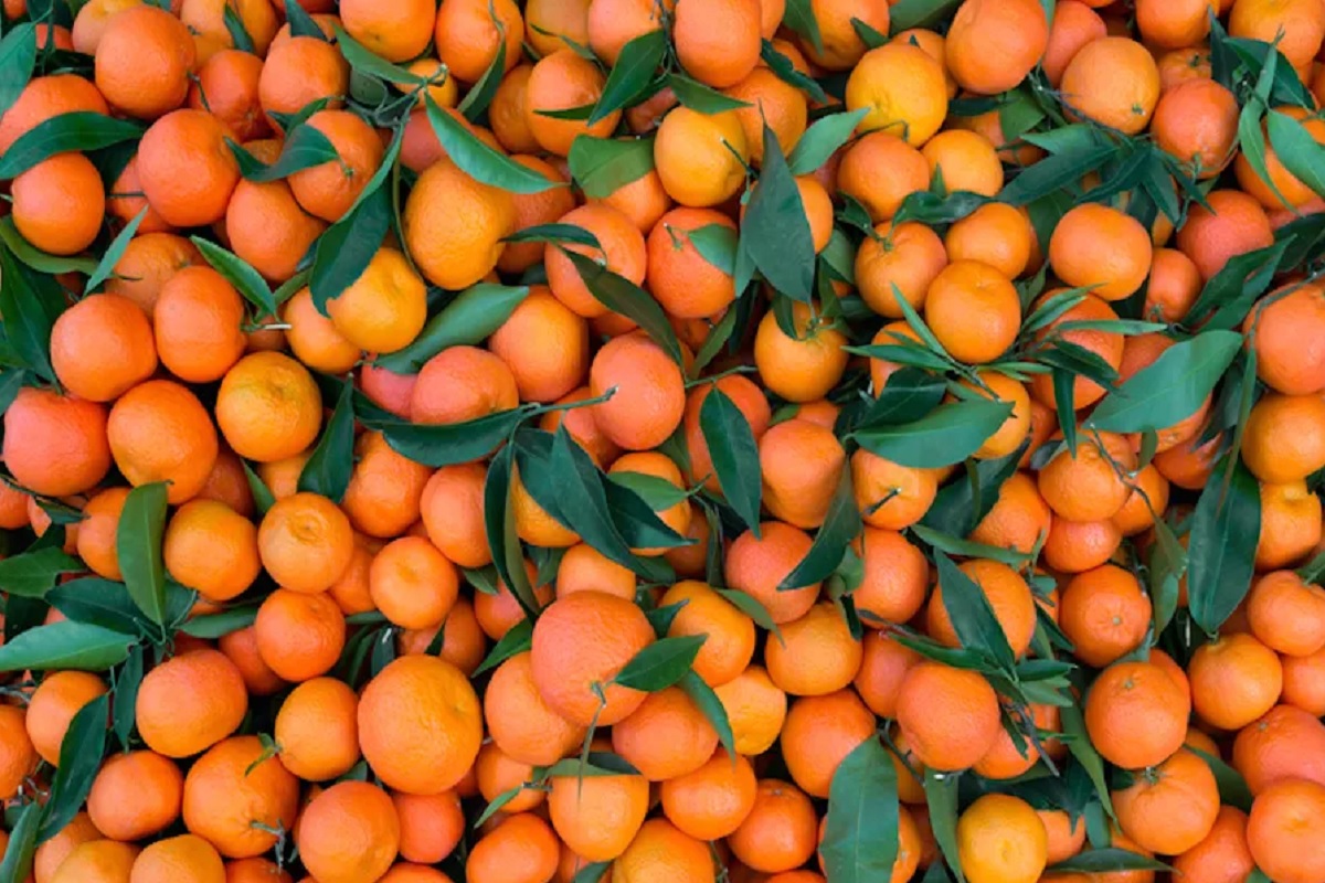 Come utilizzare la buccia del mandarino