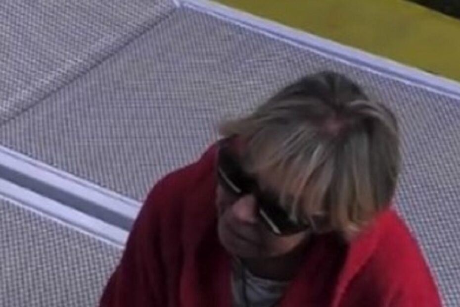 gf vip 7 wilma goich