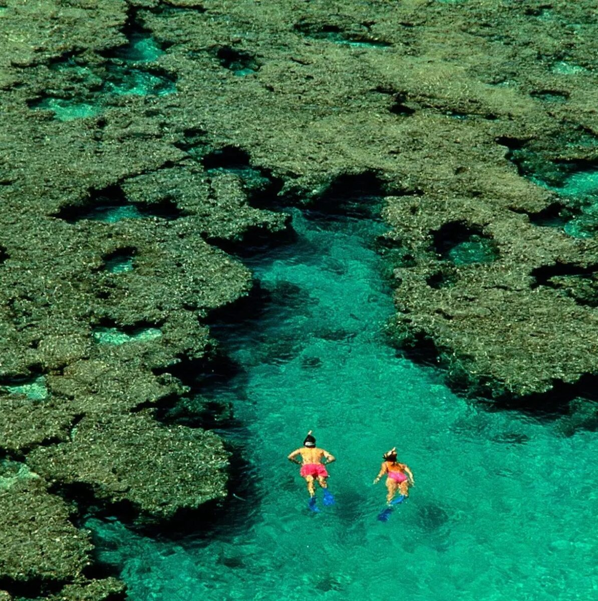 Abbandonati in mezzo all’oceano durante il viaggio di nozze