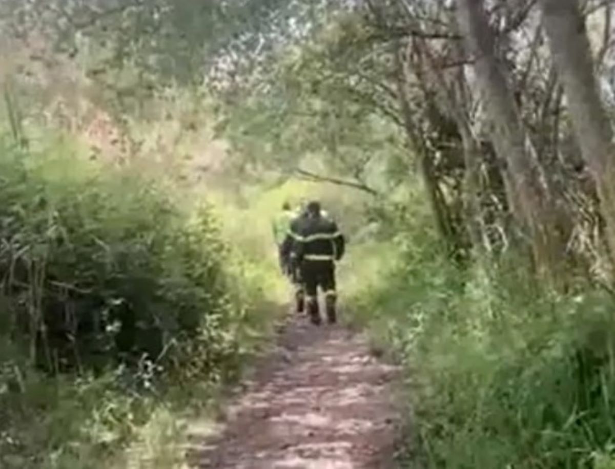 Mattia Laviola Morto