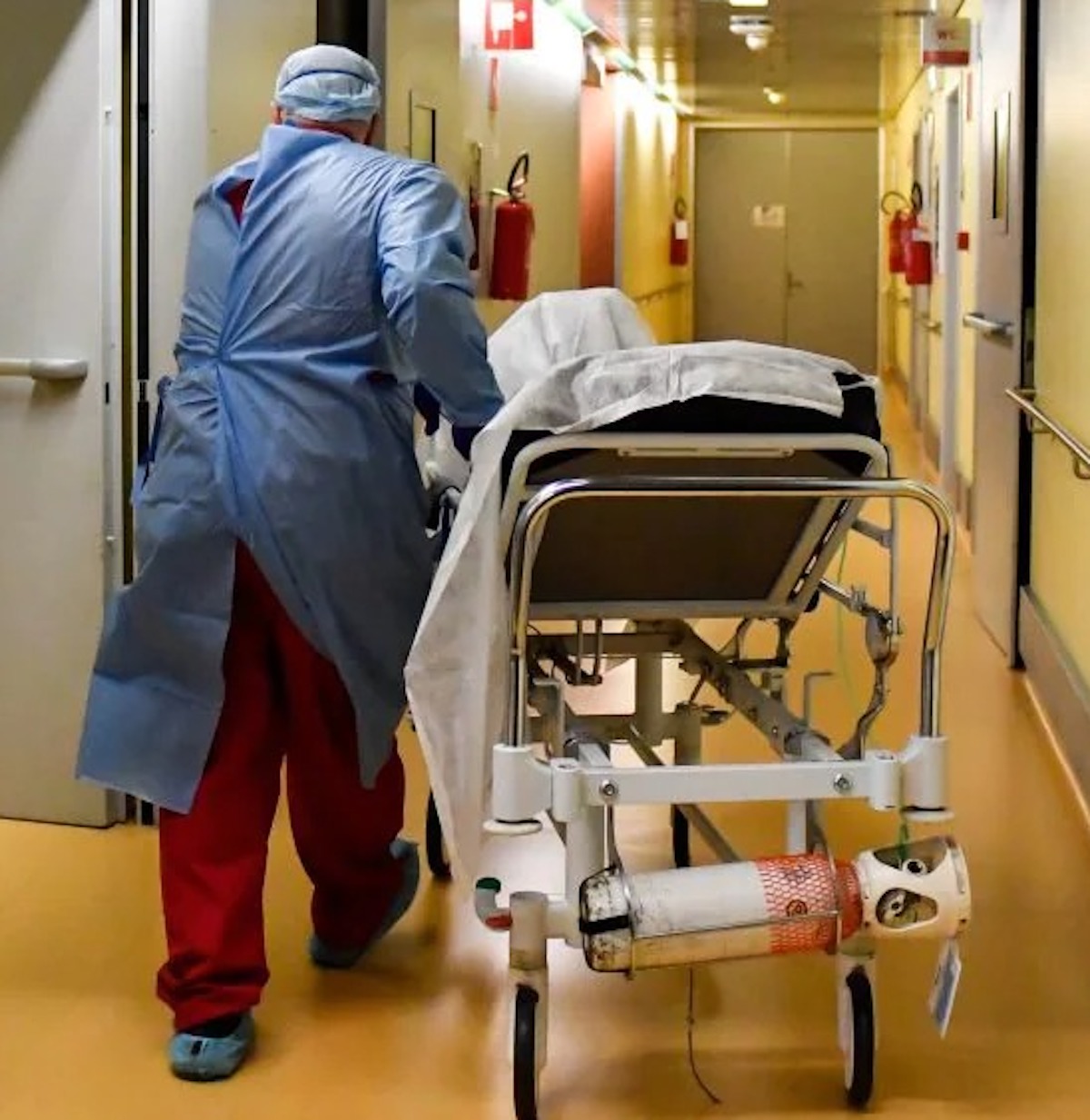 Napoli funghi velenosi morta intossicati