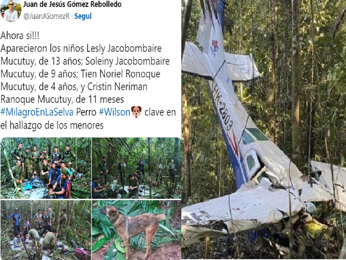 Quattro bambini ritrovati vivi dopo l'incidente aereo