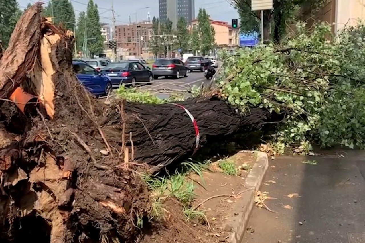 Maltempo, 4 morti e un ferito grave al Nord Italia