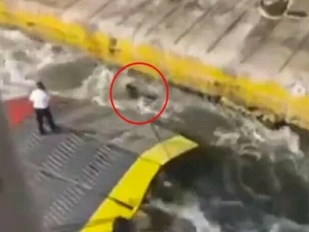 Uomo di 36 anni muore in mare