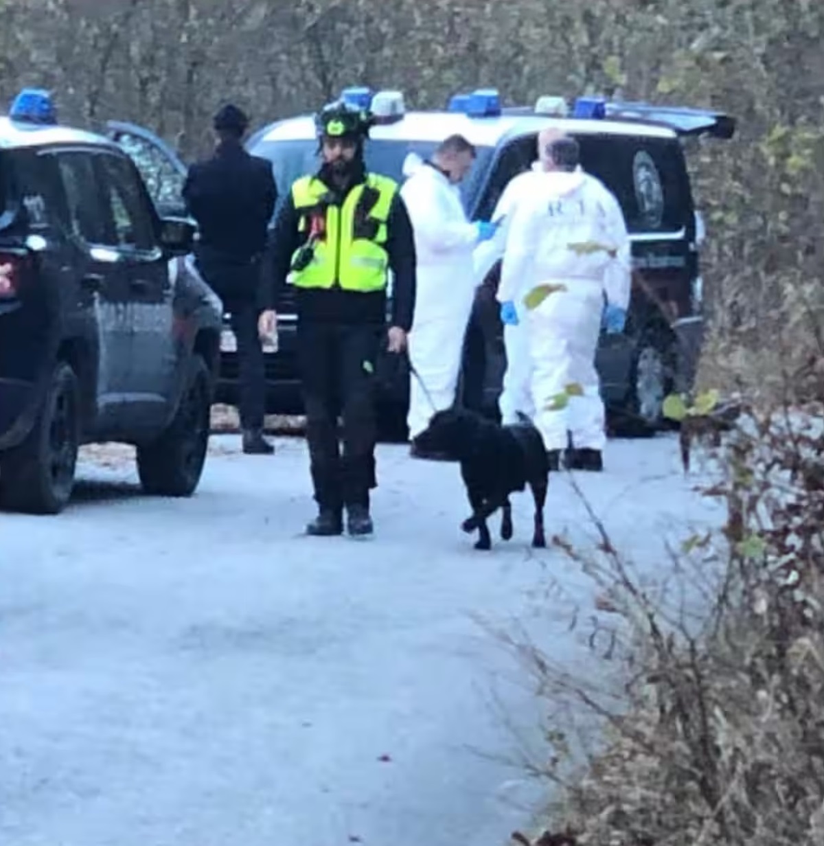 morte giulia filippo turetta cosa ha acquistato