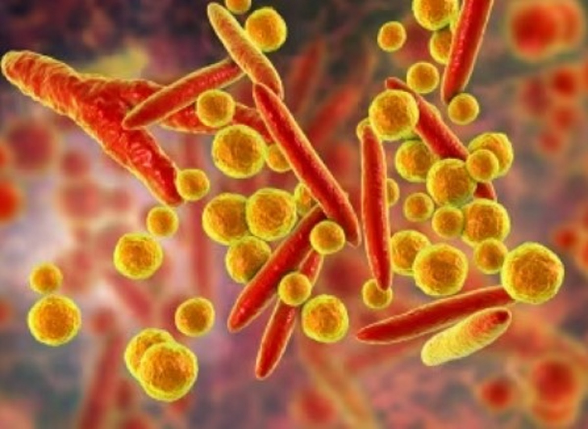 Cina epidemia di polmoniti nel mirino il batterio Mycoplasma pneumoniae