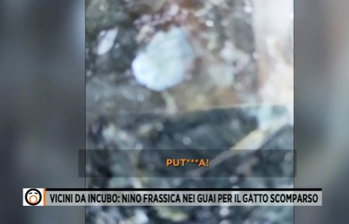 Nino Frassica, la moglie  insulta e lancia pietre ai vicini: le immagini a "Fuori dal coro"