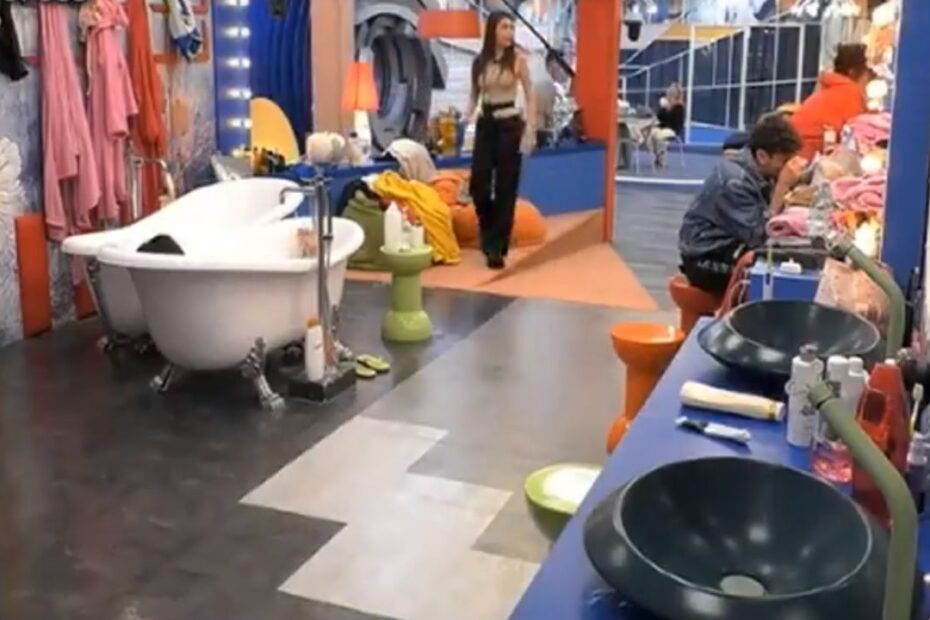 Grande Fratello Scoperta Disgustosa bAGNO