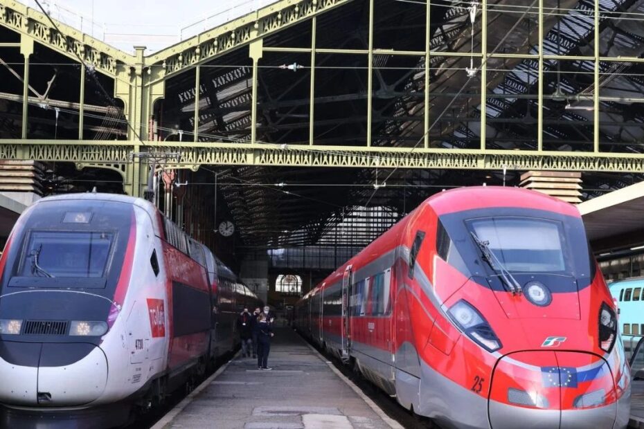 trenitalia cambia regolamento bagagli