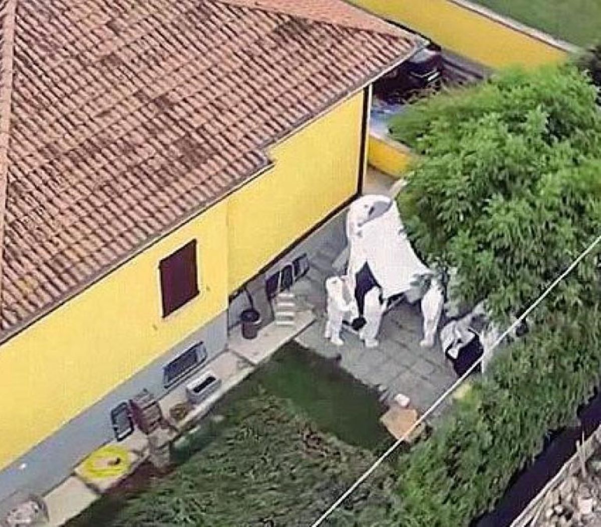 Chiara Petrolini Neonati Sepolti