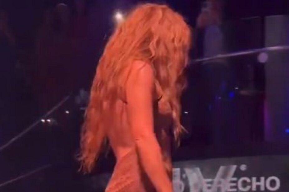 Shakira lascia concerto lite