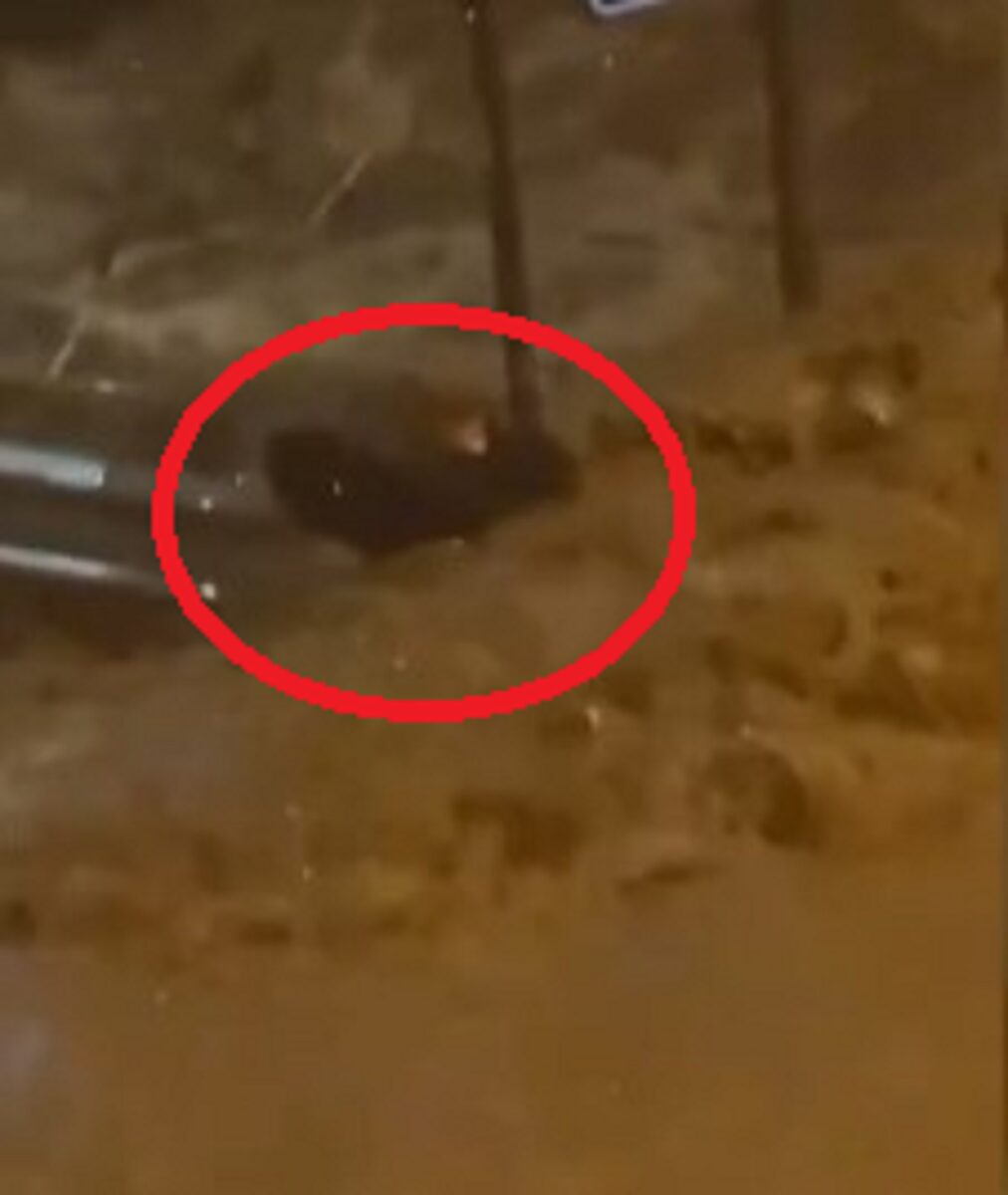 Maltempo alluvione a Campiglia 