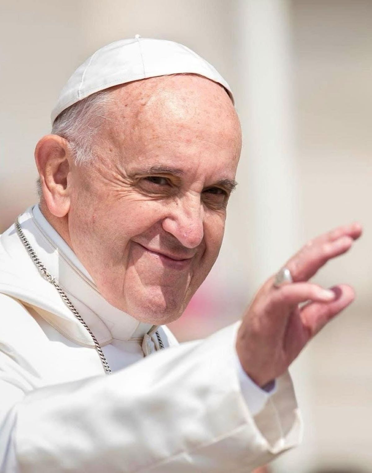 Papa Francesco Morto Successore