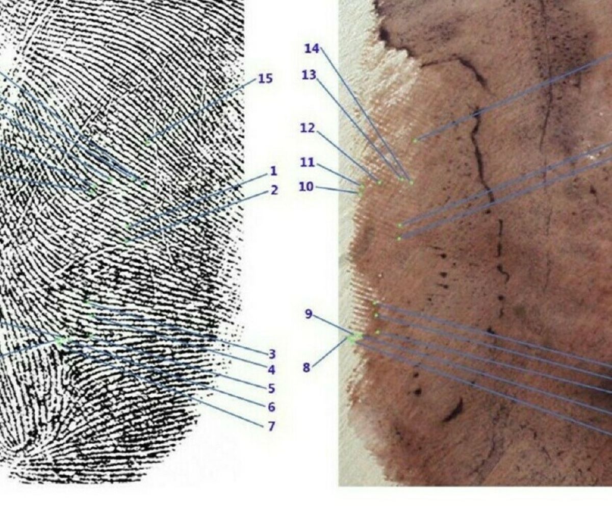 Chiara Poggi Dna Maschile