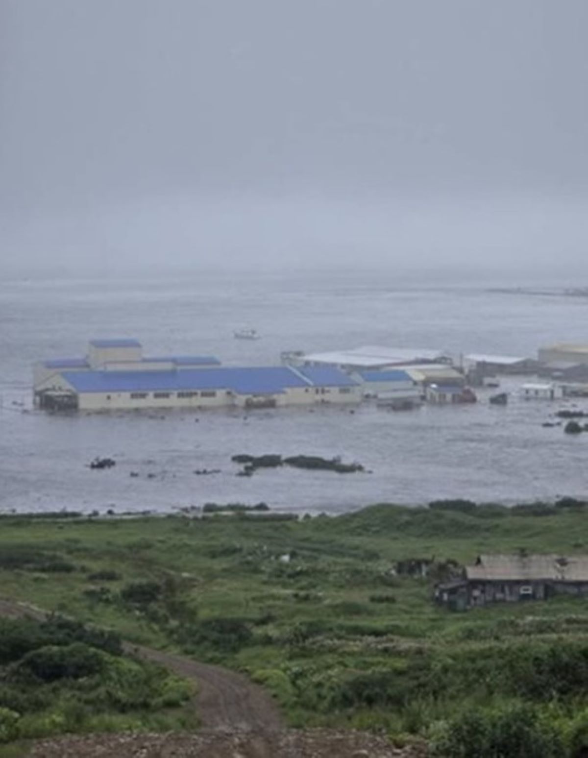Terremoto 8.8 Tsunami