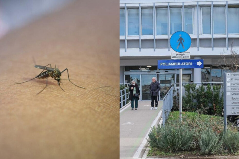 West Nile aumento casi dove contagi Italia