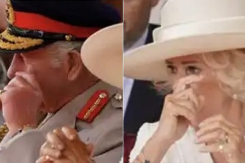 re carlo camilla in lacrime prima volta pubblico perché